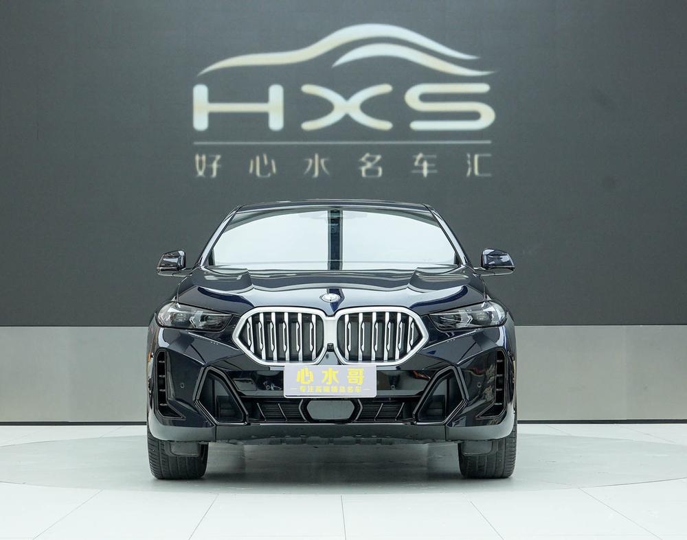 BMW BMW X6