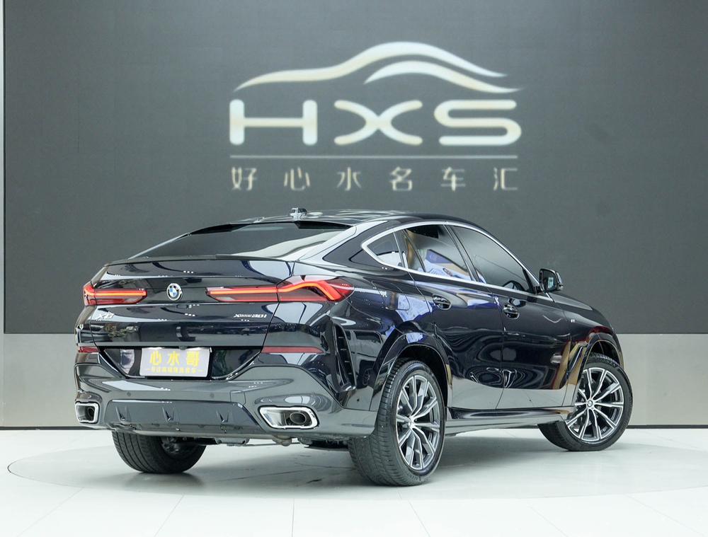 BMW BMW X6