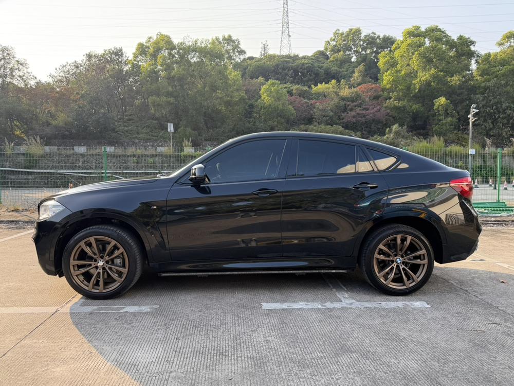 BMW BMW X6