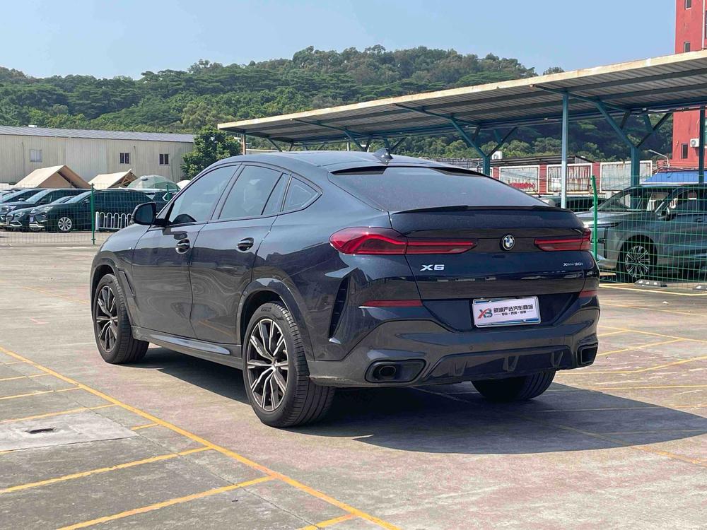 BMW BMW X6