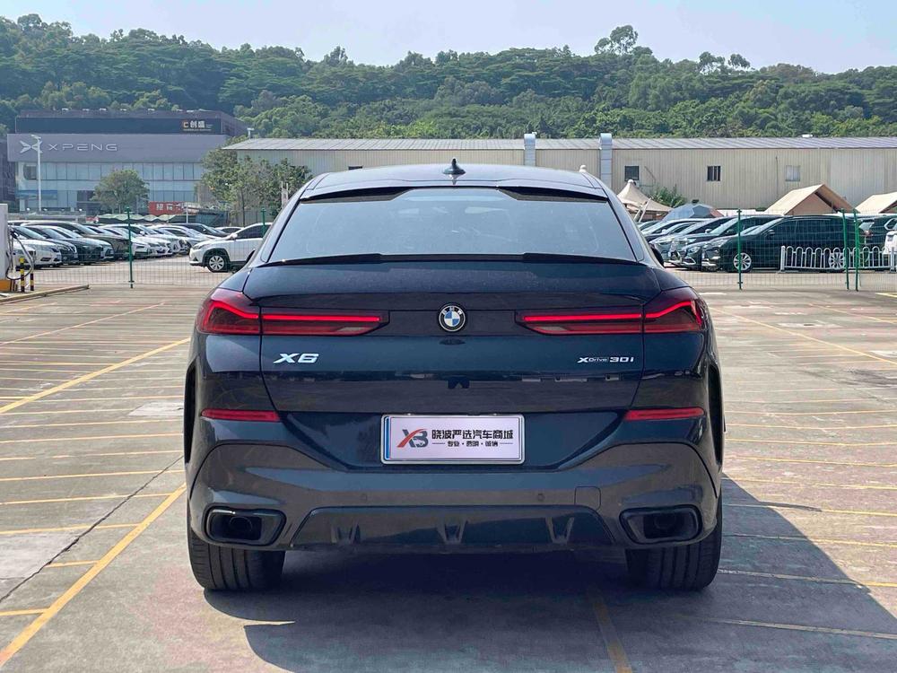 BMW BMW X6