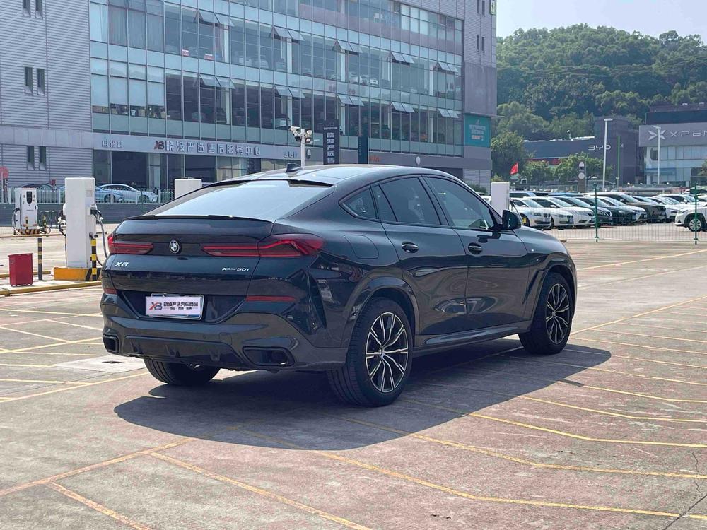 BMW BMW X6