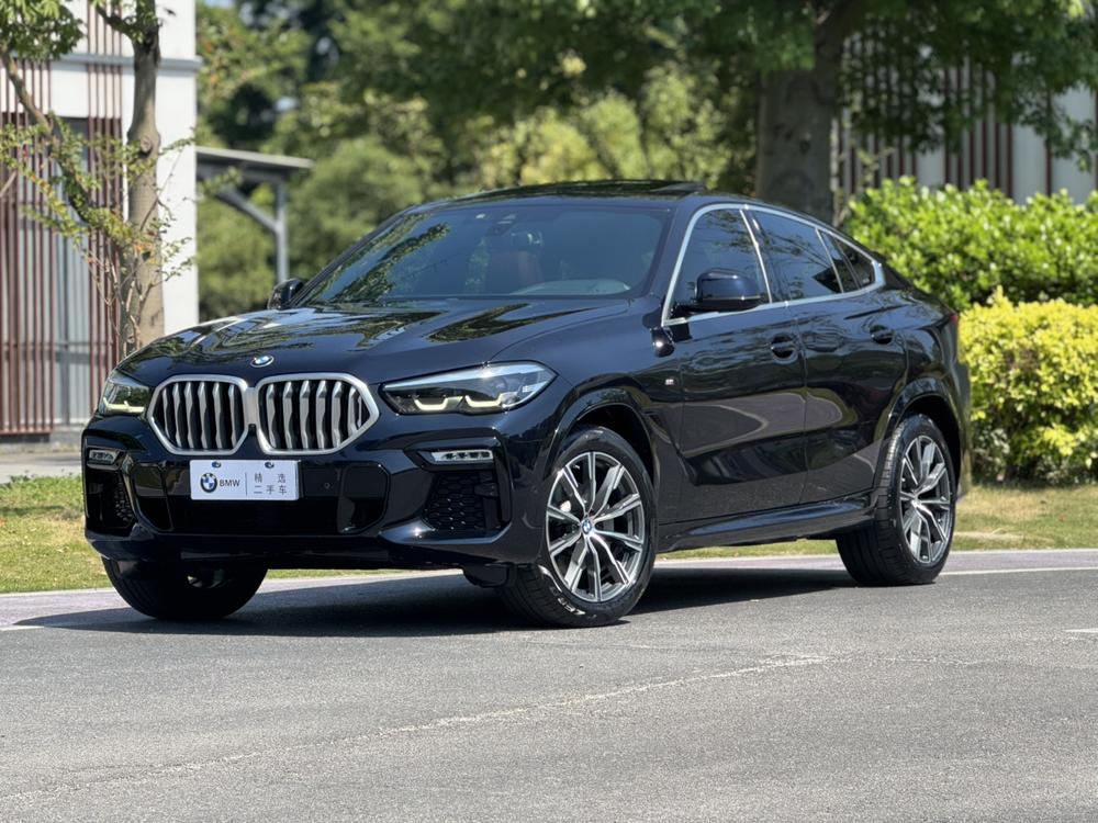 BMW BMW X6