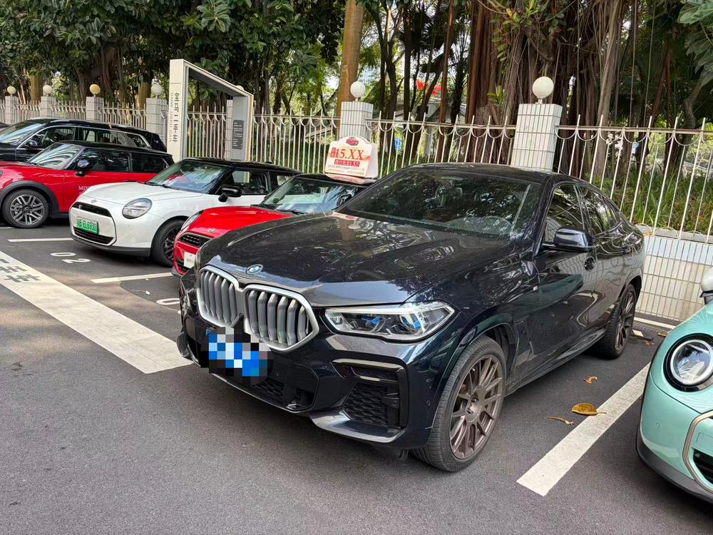 BMW BMW X6