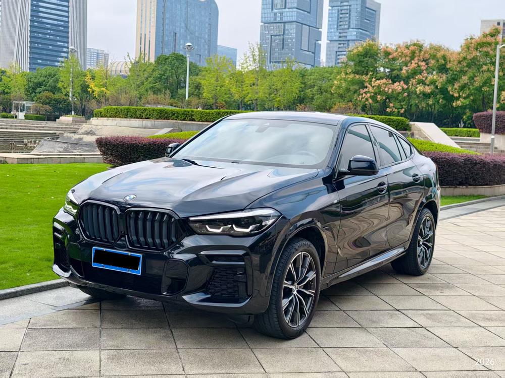 BMW BMW X6