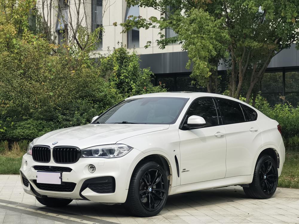 BMW BMW X6