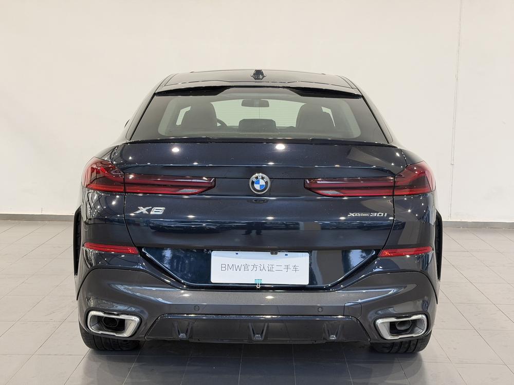 BMW BMW X6