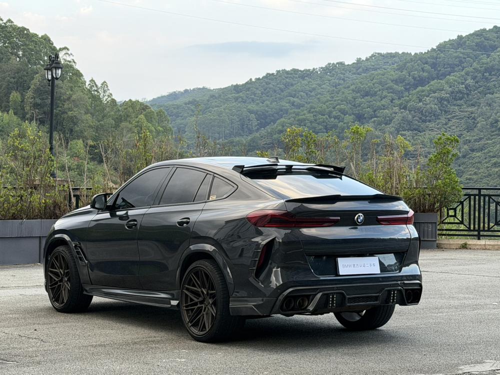 BMW BMW X6