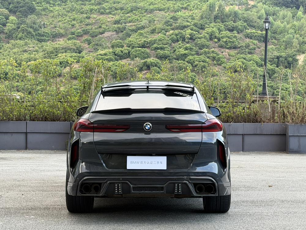 BMW BMW X6