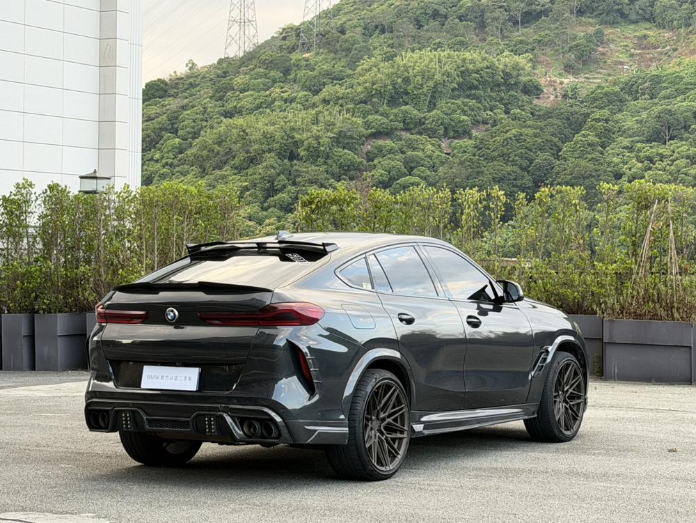BMW BMW X6
