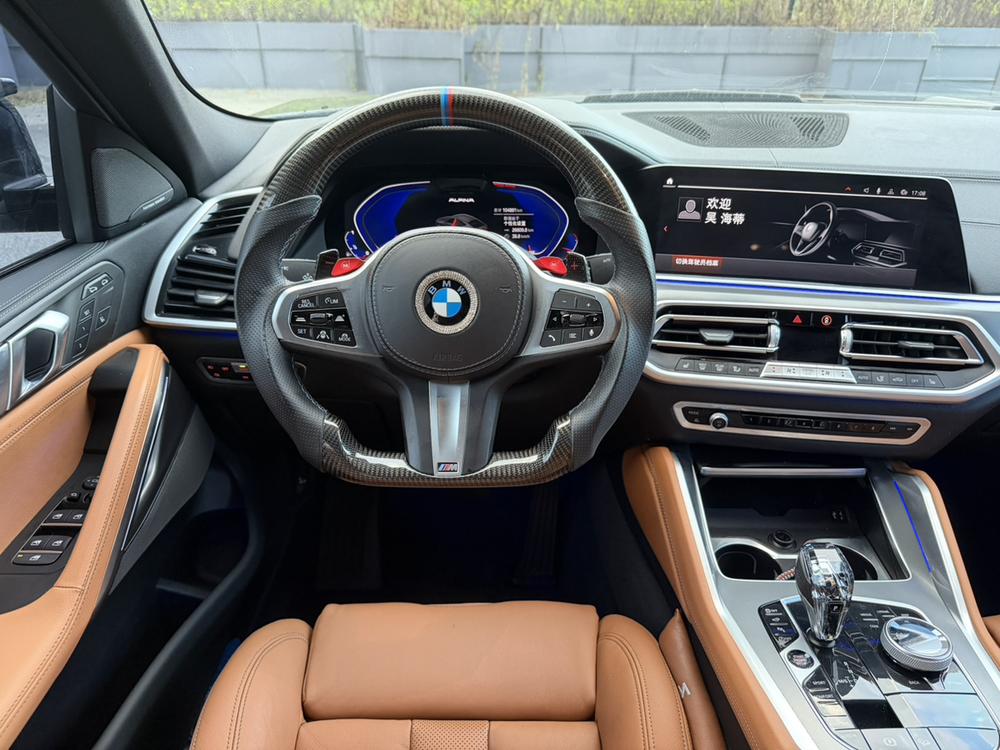 BMW BMW X6