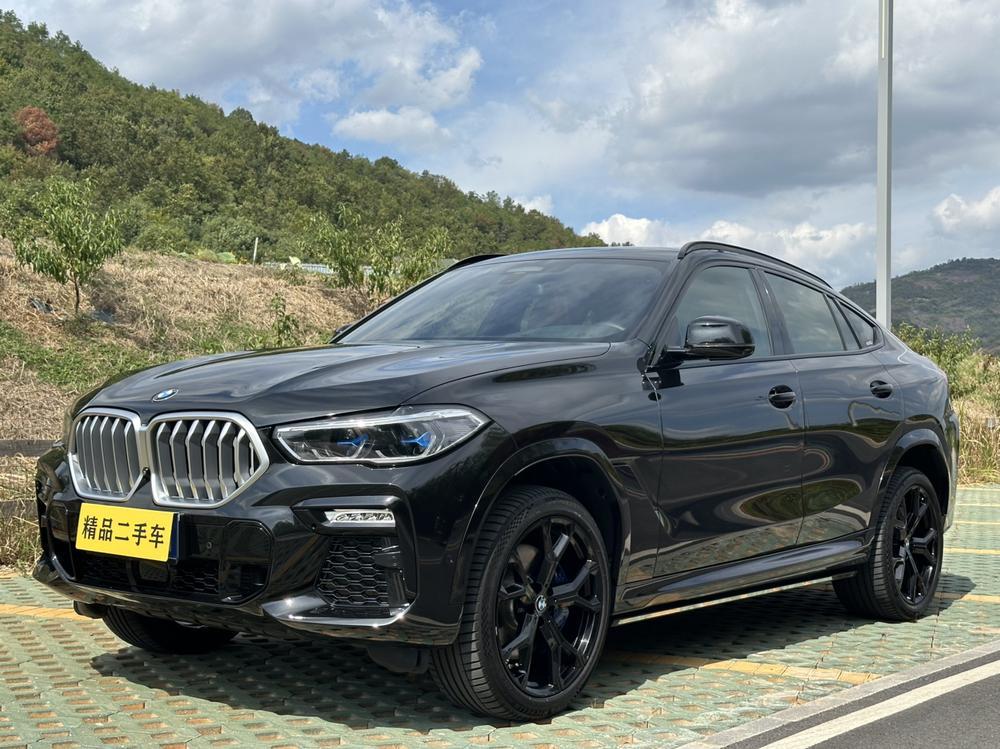BMW BMW X6