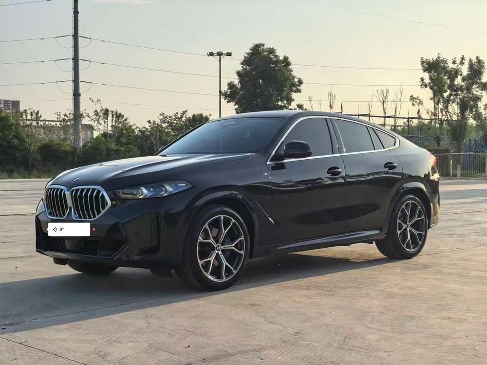 BMW BMW X6