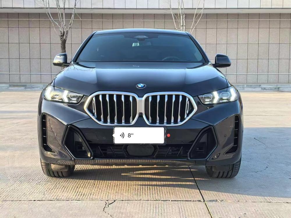 BMW BMW X6