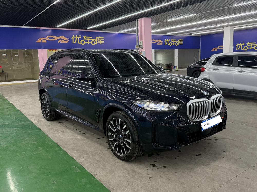 BMW BMW X6