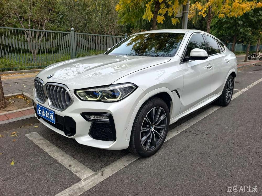 BMW BMW X6