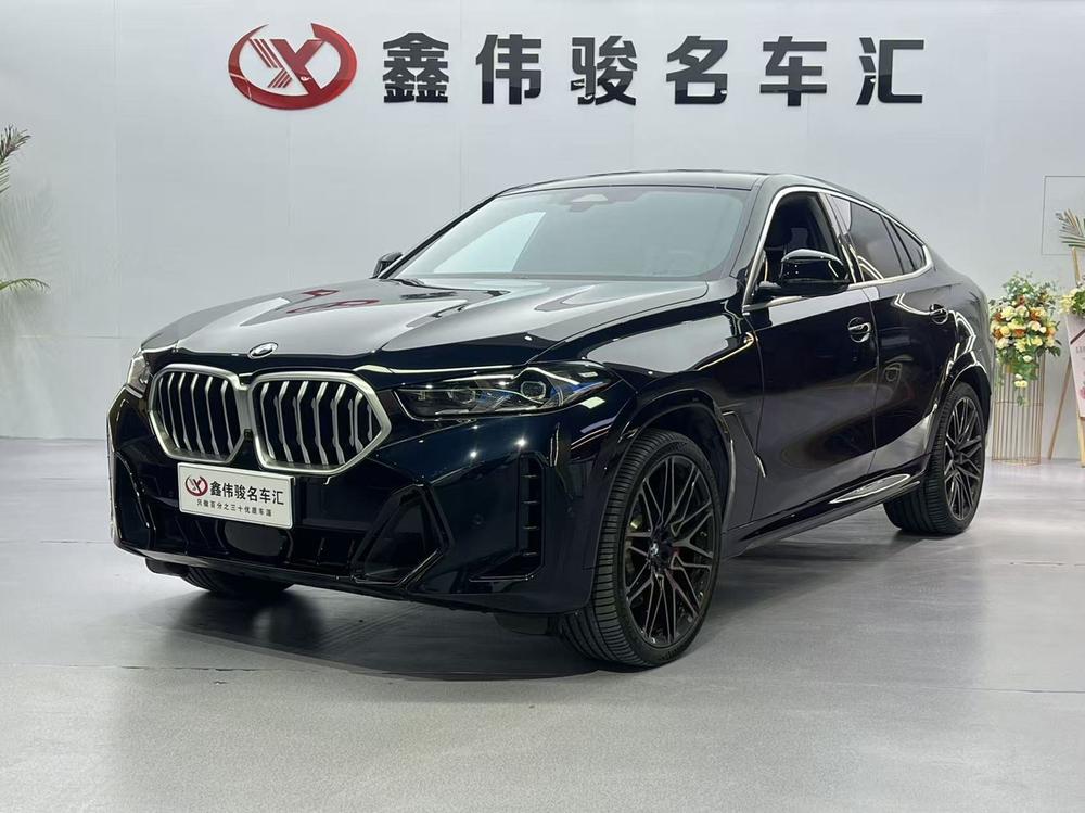 BMW BMW X6