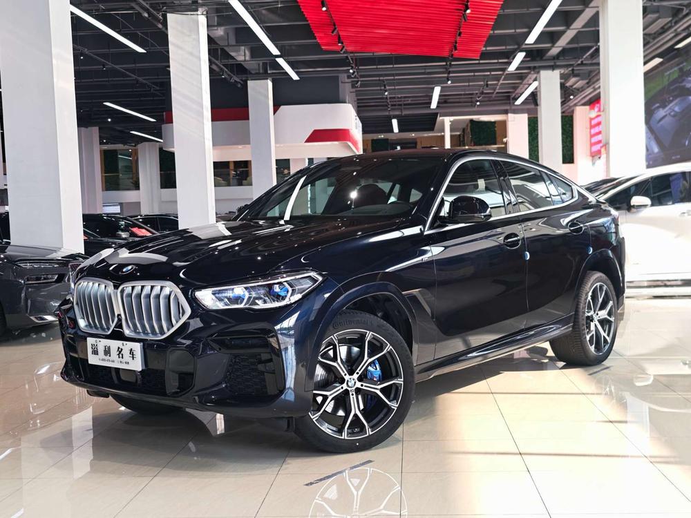BMW BMW X6