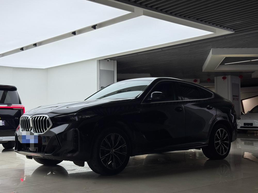 BMW BMW X6