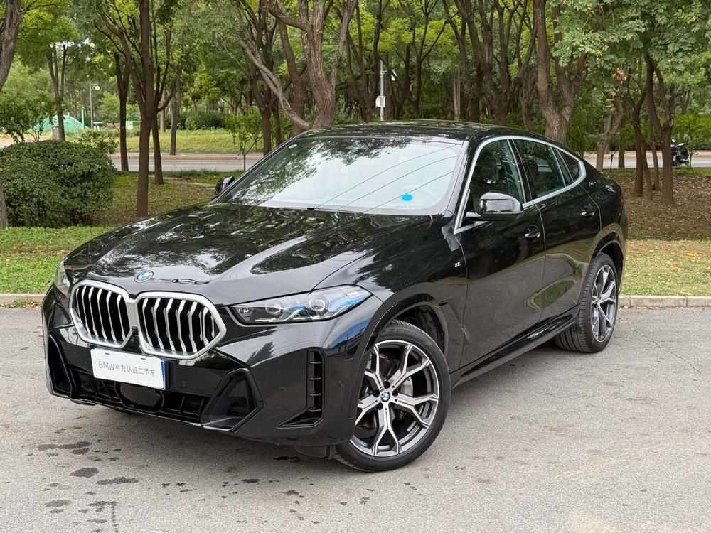 BMW BMW X6