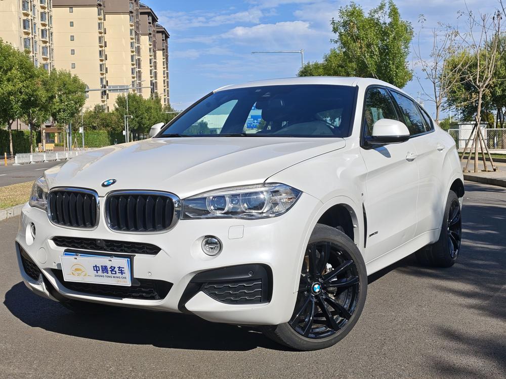 BMW BMW X6