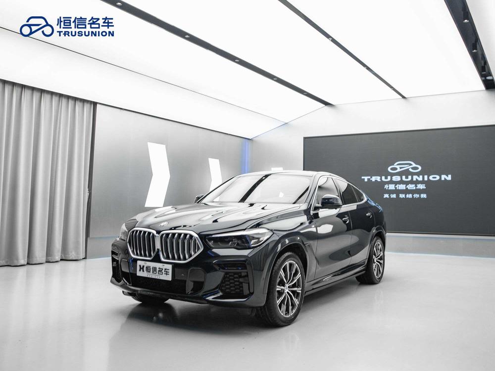 BMW BMW X6
