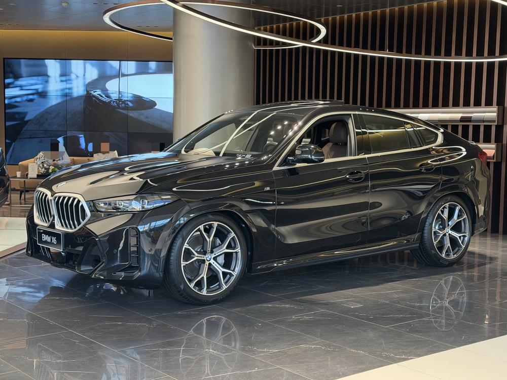 BMW BMW X6