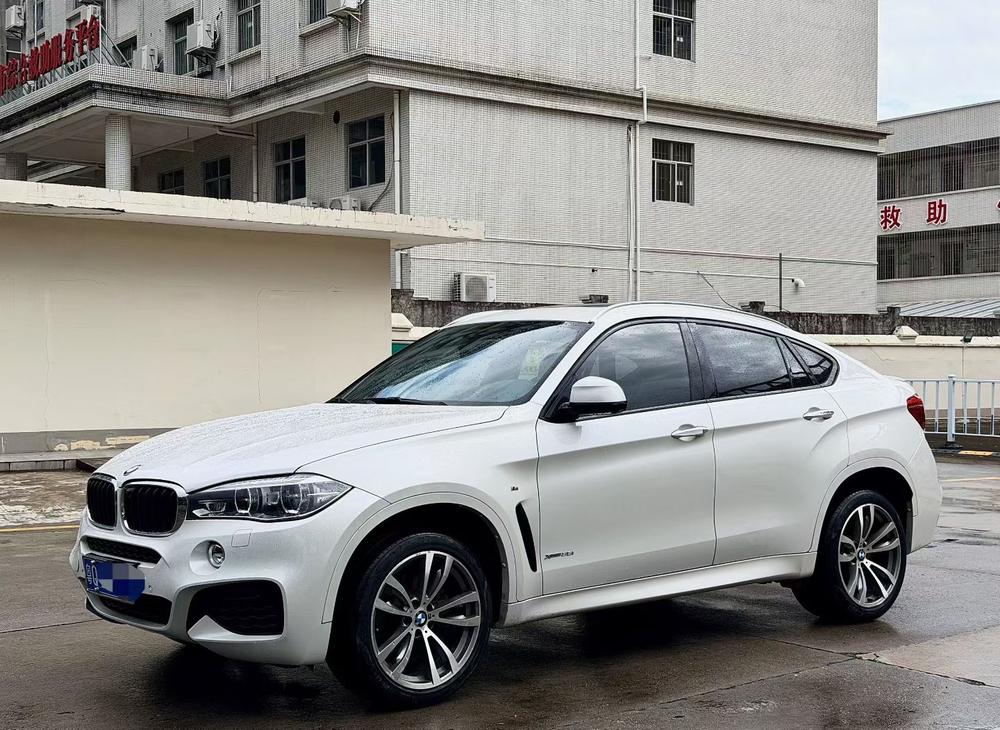 BMW BMW X6