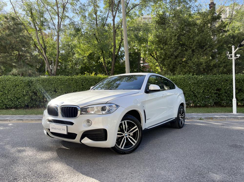 BMW BMW X6