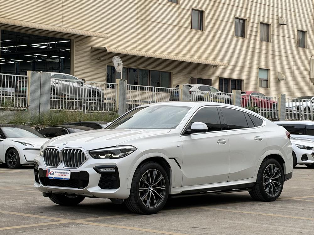 BMW BMW X6