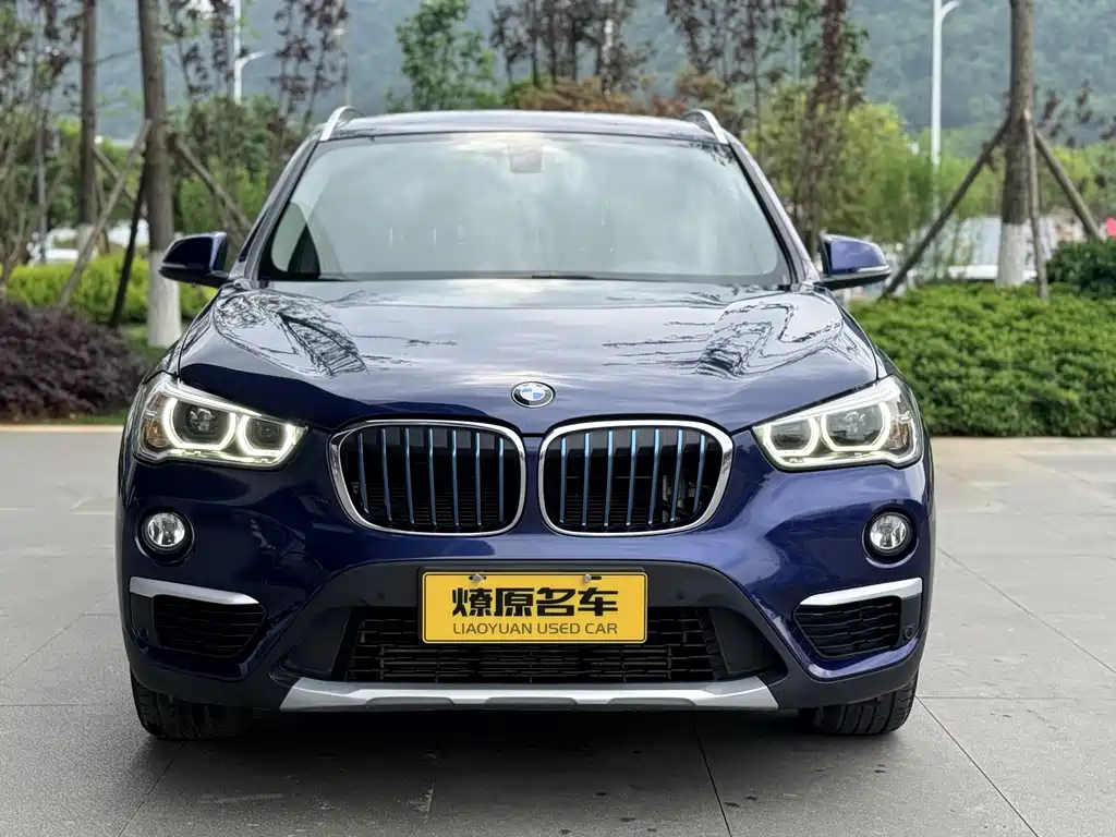 BMW X1 New Energy