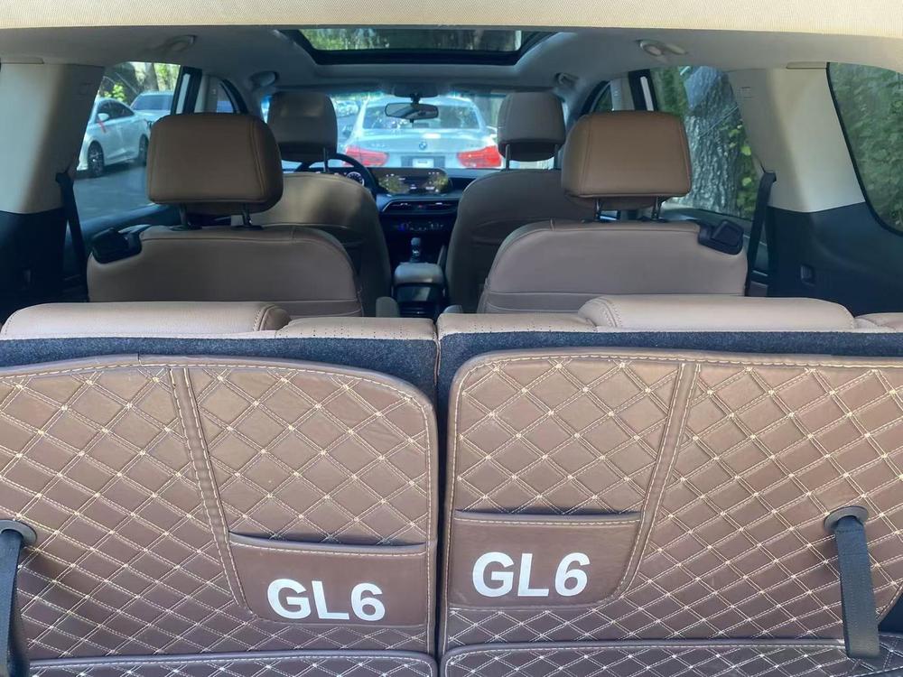 Buick Buick GL6