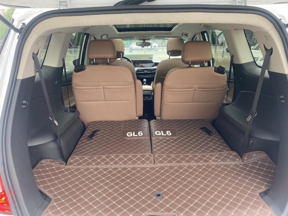Buick Buick GL6