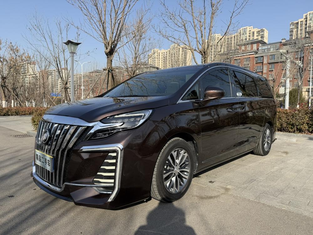 Buick Buick GL8