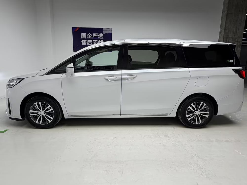 Buick Buick GL8