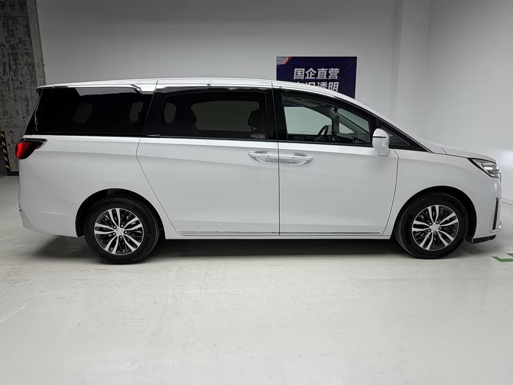 Buick Buick GL8
