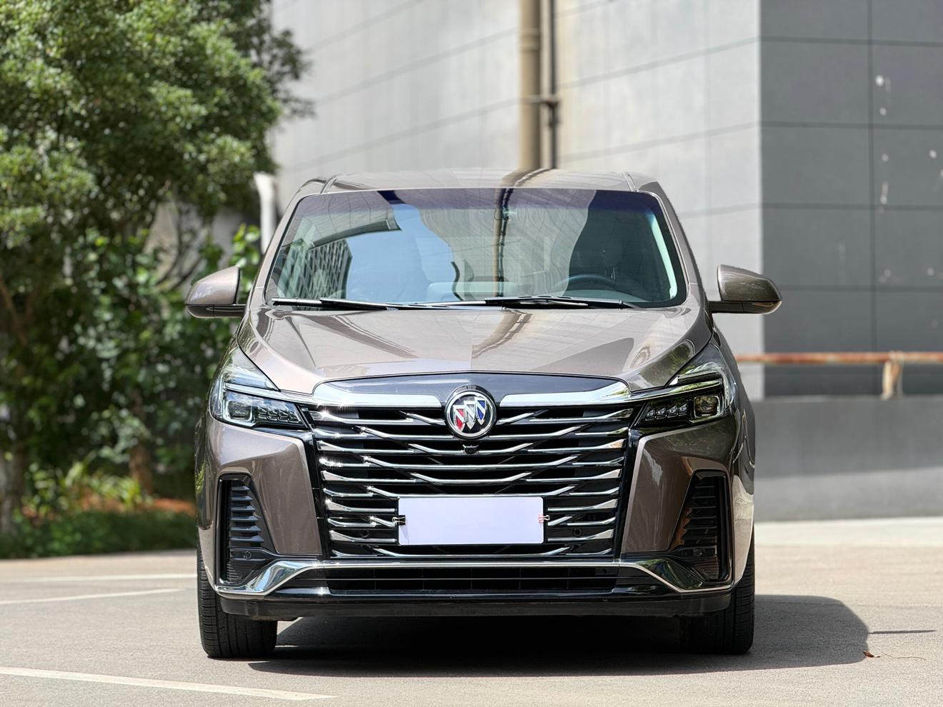 Buick Buick GL8