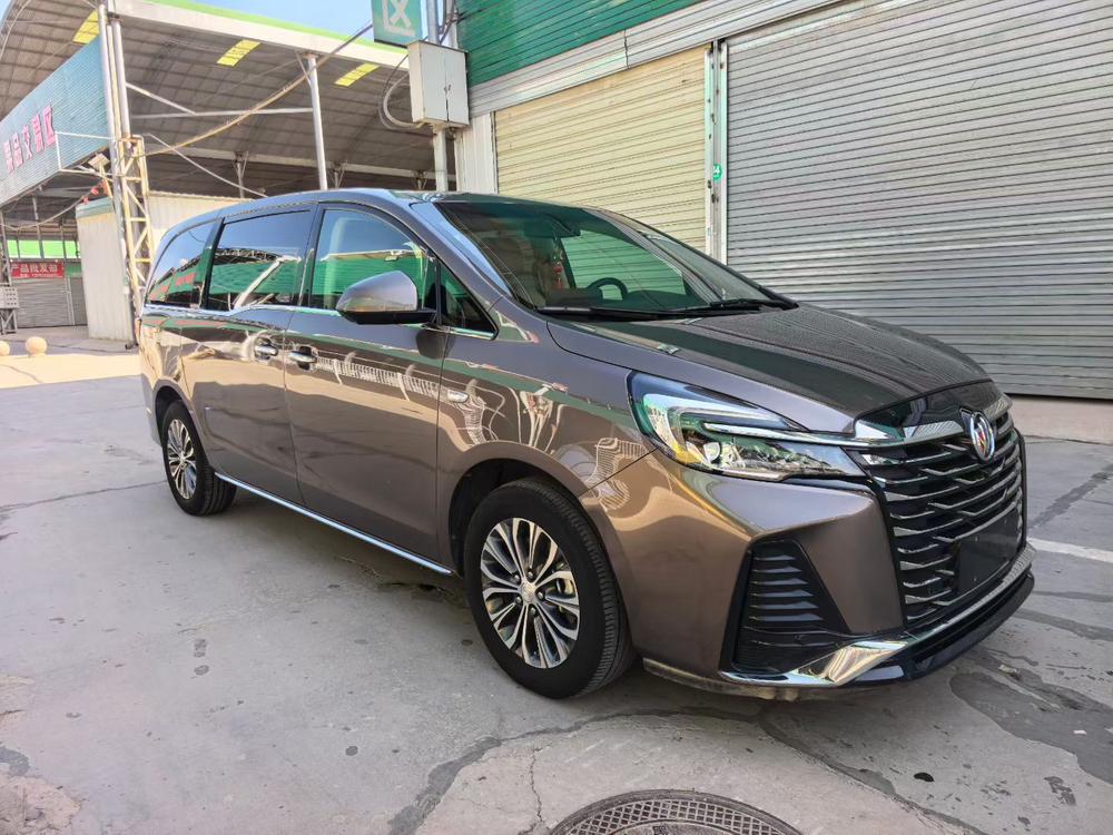 Buick Buick GL8