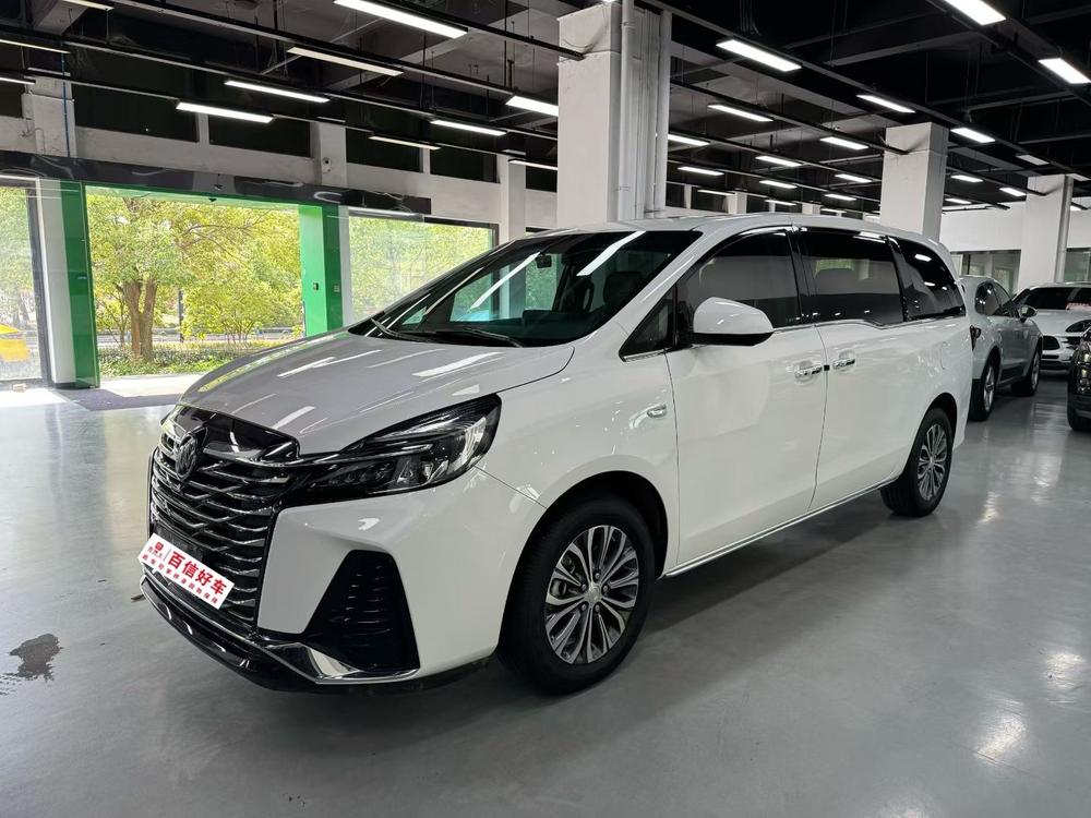 Buick Buick GL8