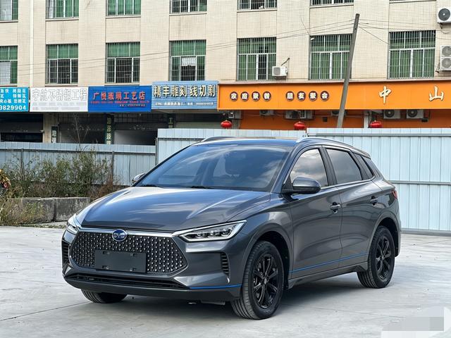 BYD BYD e2