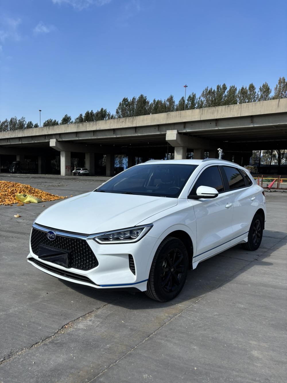 BYD BYD e2