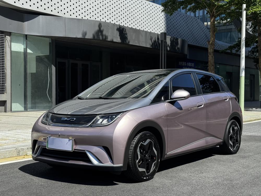 BYD Dolphin