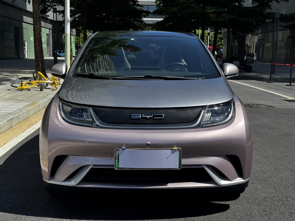 BYD Dolphin
