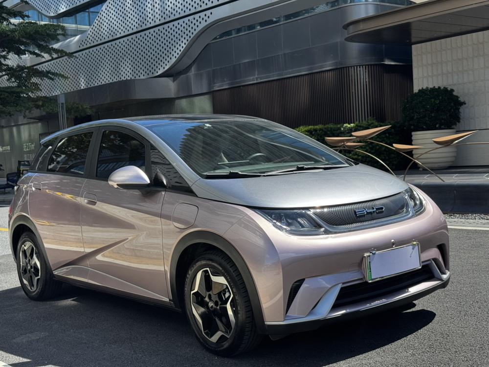 BYD Dolphin