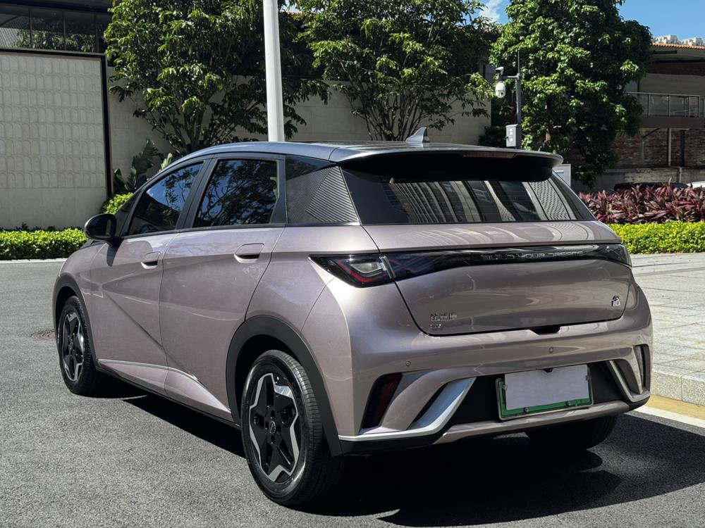 BYD Dolphin
