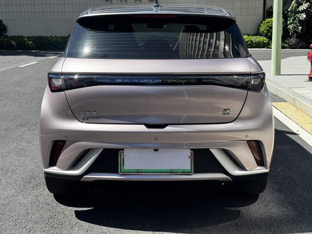 BYD Dolphin