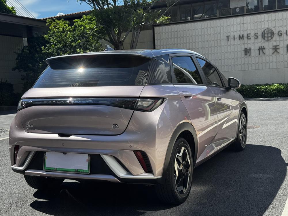 BYD Dolphin