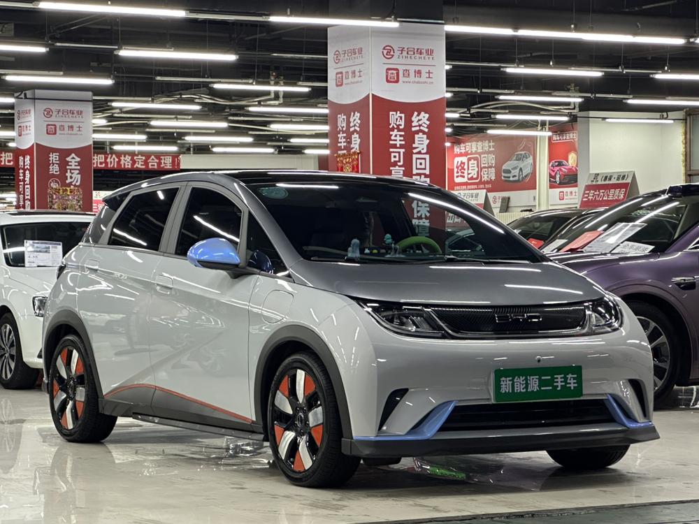 BYD Dolphin