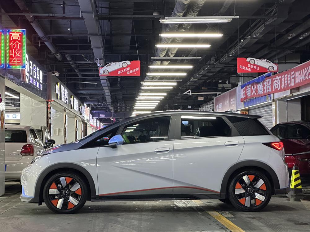BYD Dolphin
