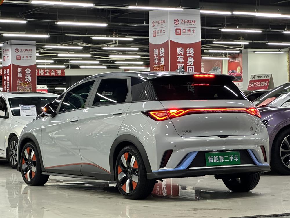 BYD Dolphin